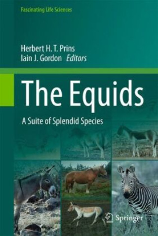 The Equids