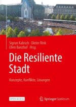 Die Resiliente Stadt