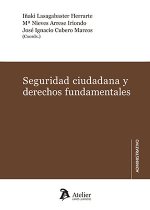 SEGURIDAD CIUDADANA Y DERECHOS FUNDAMENTALES
