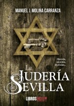 LA JUDERÍA DE SEVILLA