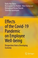Effects of the Covid-19 Pandemic on Employee Well-being