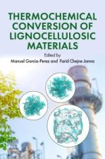 Thermochemical Conversion of Lignocellulosic Materials