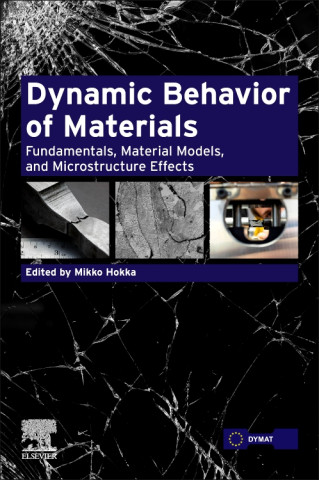 Dynamic Behavior of Materials (Mikko Hokka)(Brožovaná)
