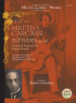 Llobet Guitar Works Vol. 14 - Carcassi Studies op. 60