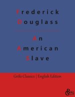 An American Slave