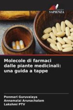Molecole di farmaci dalle piante medicinali: una guida a tappe