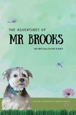 The Adventures of Mr Brooks