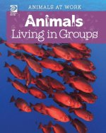 Animals Living in Groups