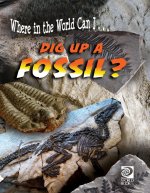 Dig Up a Fossil?
