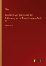 Geschichte von Spanien seit der Entdeckung bis zur Thron-Entsagung Carls IV.