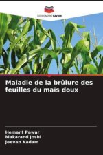 Maladie de la br?lure des feuilles du ma?s doux