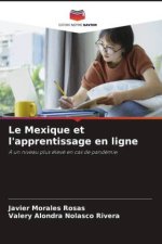 Le Mexique et l'apprentissage en ligne