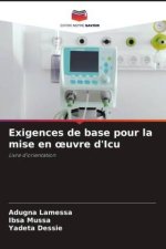 Exigences de base pour la mise en ?uvre d'Icu