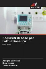 Requisiti di base per l'attuazione Icu