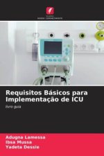 Requisitos Básicos para Implementaç?o de ICU