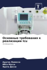 Osnownye trebowaniq k realizacii Icu
