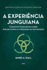 A experi?ncia junguiana