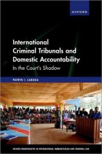 International Criminal Tribunals and Domestic Accountability In the Court's Shadow (Hardback)