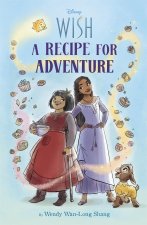 Wish Middle Grade Novel