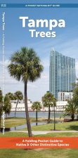 Tampa Trees: A Waterproof Folding Guide to Familiar Trees