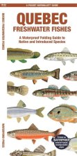 Quebec Fishes (English): A Waterproof Folding Guide to Native and Introduced Species