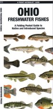 Ohio Freshwater Fishes: A Waterproof Folding Guide to Native and Introduced Species