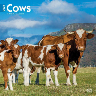 Cows 2024 Square