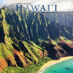 Hawaii Wild & Scenic 2024 Square Foil