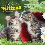 Kittens, I Love 2024 Square