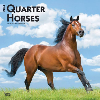 Quarter Horses 2024 Square