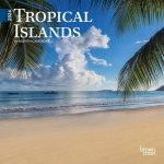 Tropical Islands 2024 Mini 7x7