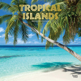 Tropical Islands 2024 Square Foil