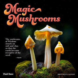 Magic Mushrooms 2024 Square Brush Dance