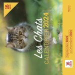 Calendrier des chats 2024