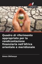 Quadro di riferimento appropriato per la rendicontazione finanziaria nell'Africa orientale e meridionale