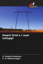 Smart Grid e i suoi sviluppi