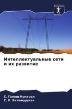 Intellektual'nye seti i ih razwitie