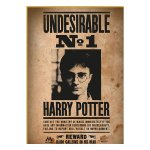 Mini puzzle Harry Potter 50 ks DPL12