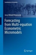 Forecasting from Multi-equation Econometric Micromodels