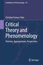 Critical Theory and Phenomenology