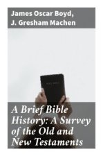 A Brief Bible History: A Survey of the Old and New Testaments
