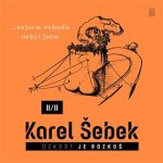Úzkost je rozkoš II/II…nejsem nebudu nebyl jsem