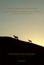 CAPRA PYRENAICA HISPANICA