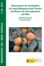 DESCRIPCION DE VARIEDADES DE CAQUI DIOSPYROS KAKI THUNB D