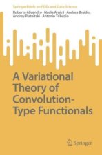 A variational theory of convolution- Type functionals