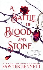 A Battle of Blood and Stone