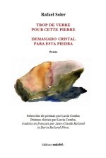Trop de verre pour cette terre Demasiado cristal para esta piedra