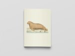 Carnet Notes & Lecture BnF -  Zoologica Danica