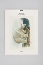 Édition illustrée BnF - Ours polaire