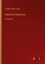 Galusha the Magnificent
